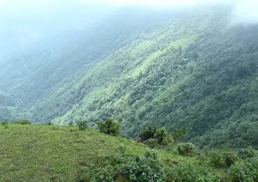 Wild Camping Spots